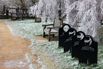 Thrupp Wide in the Winter